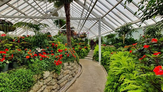 nice-winter-garden.jpg